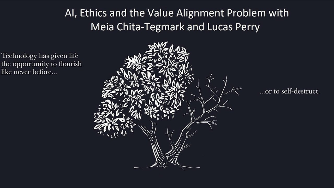 A clear representation that we have the ability to take technology in any which direction / Meia Chita Tegmark and Lucas Perry / Future of L