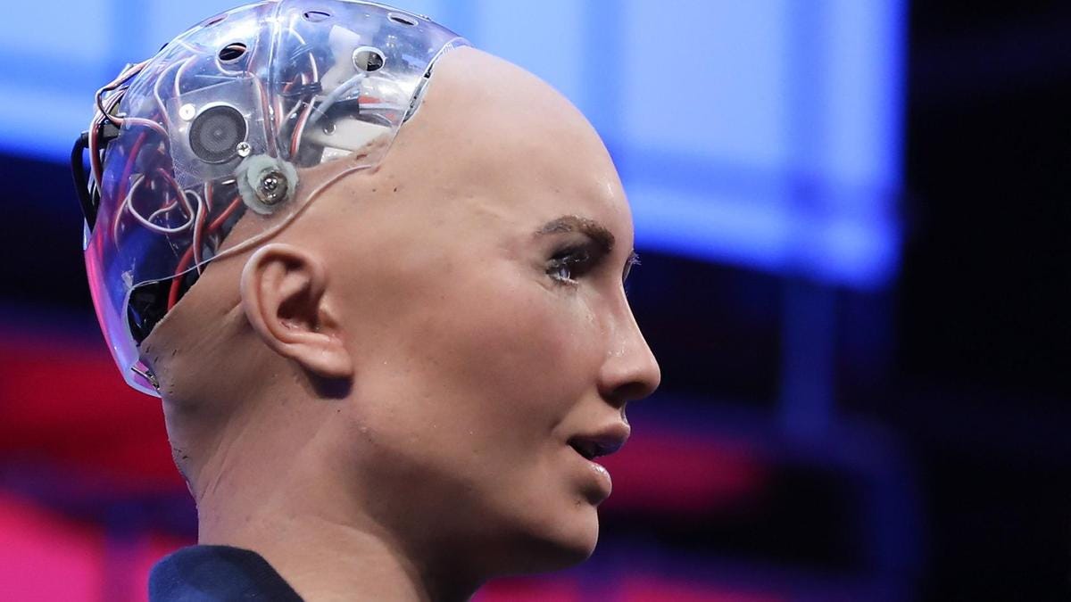 Sophia the AI Robot by Hanson Robotics / The National